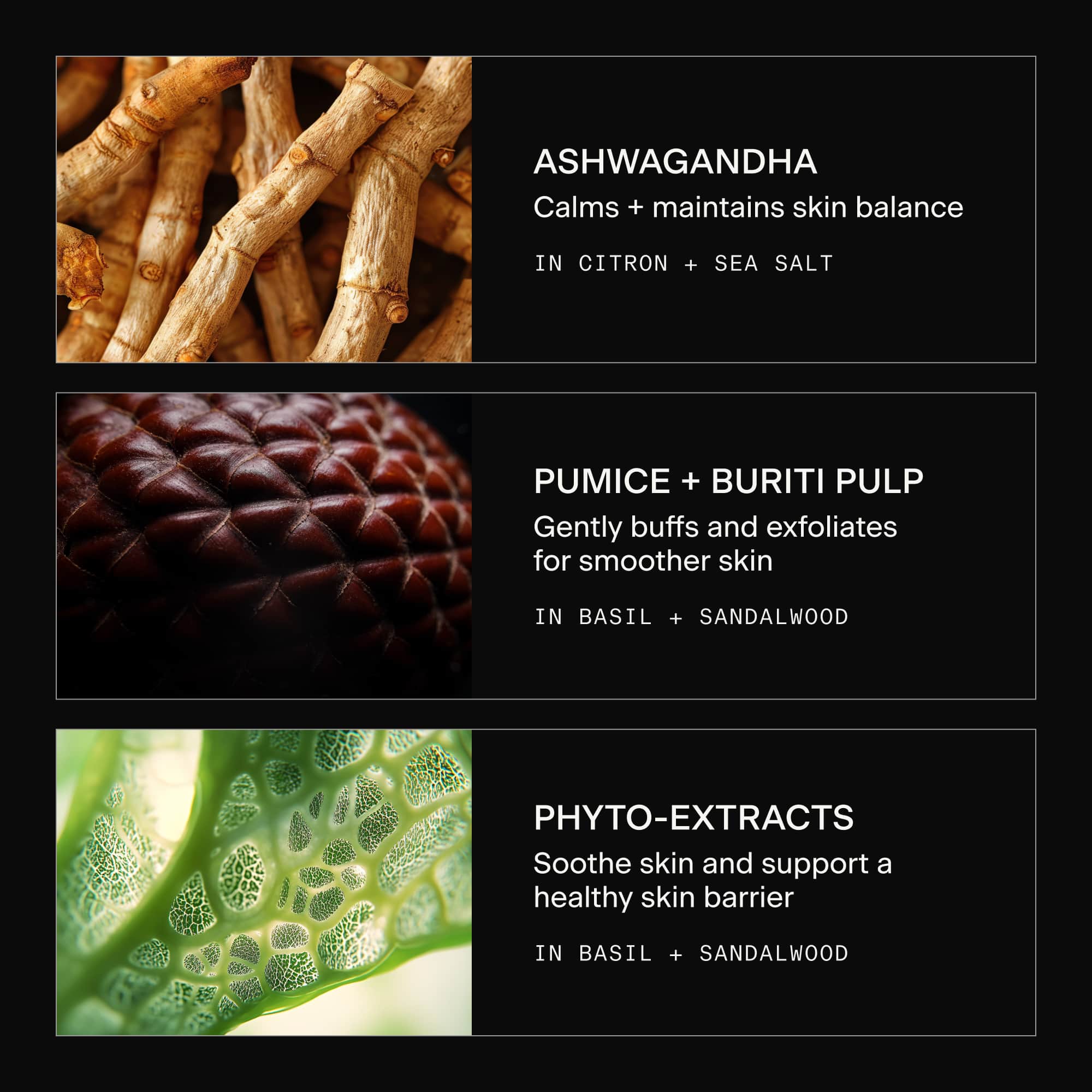 The Body Bar - Image 6