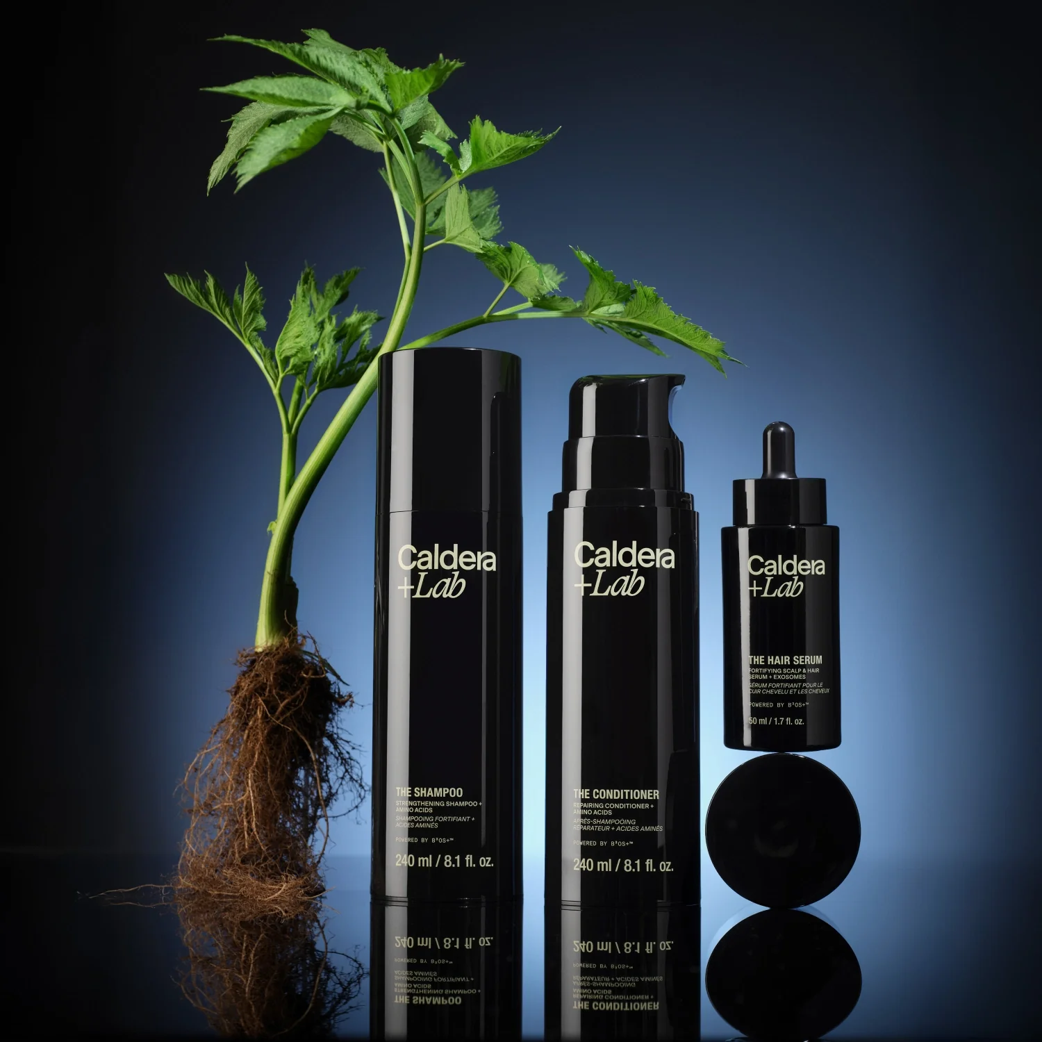 The Hair Care System - Image 3
