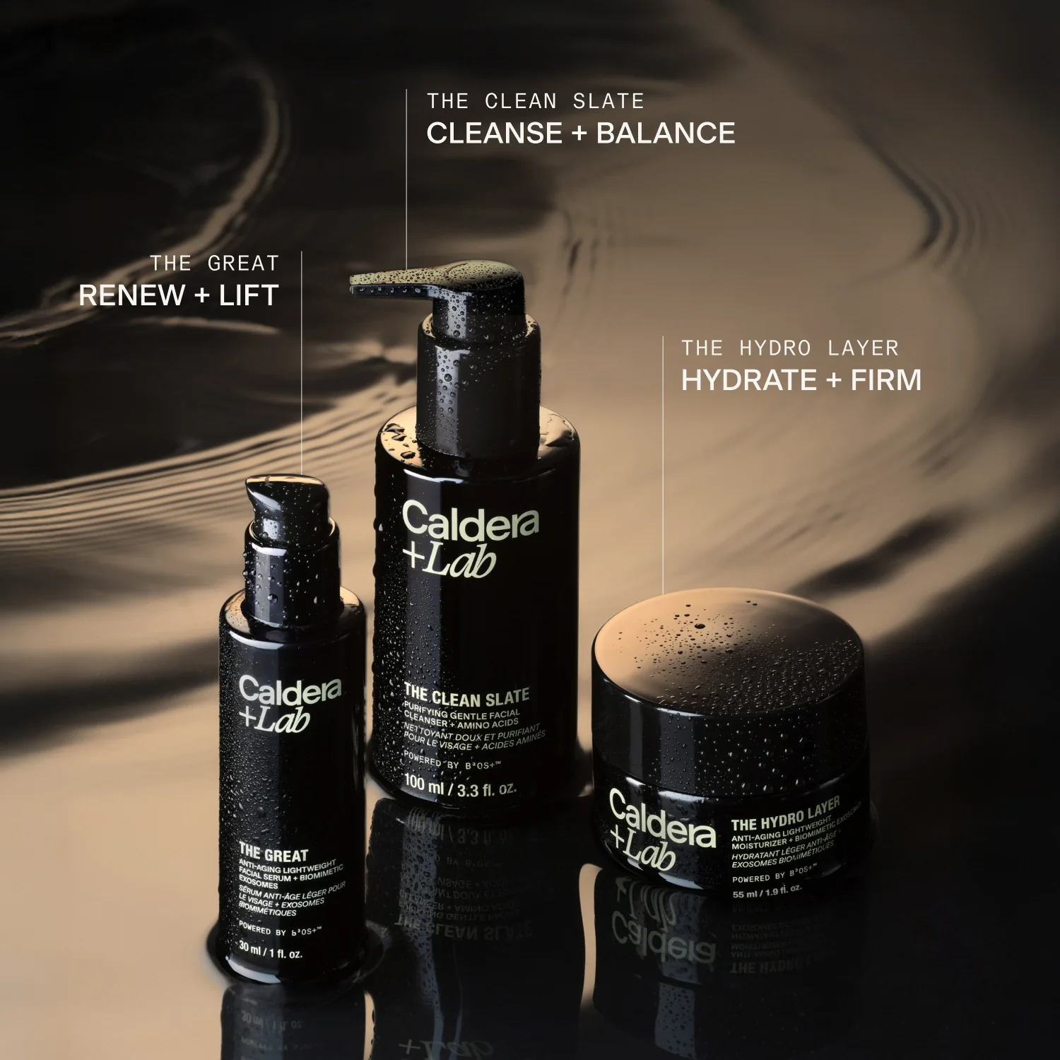 The Regimen - Image 3