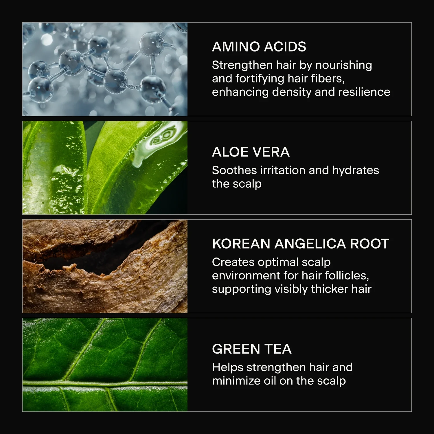 The Shampoo - Image 5
